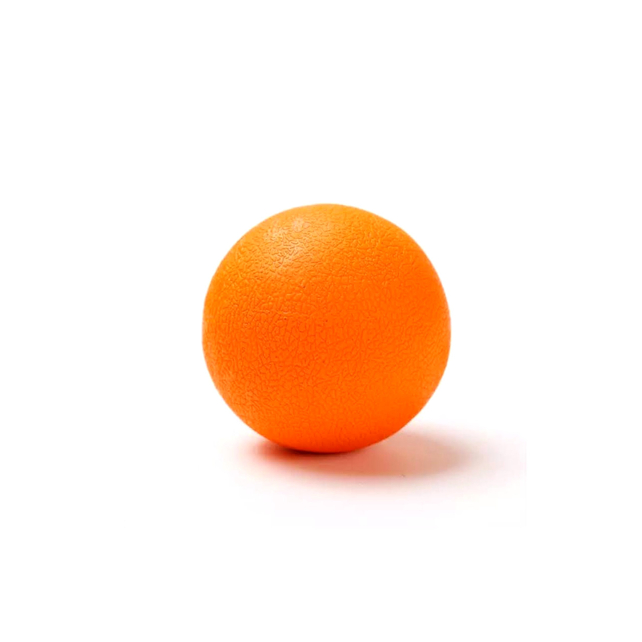 12569_1.jpg